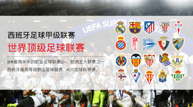 球员数据分 球员数据分